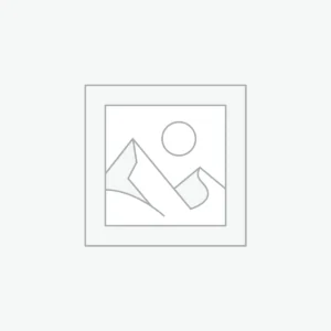 Audit Support (Sales Tax, Payroll Tax, IRS Correspondence)